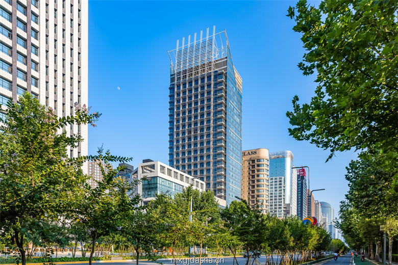 迈科国际大厦